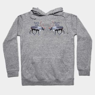 Buerie Jåvle Hoodie